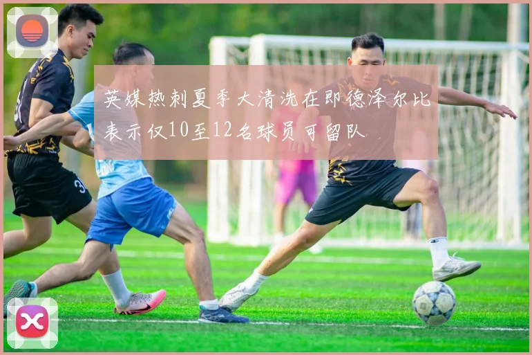 英媒热刺夏季大清洗在即德泽尔比表示仅10至12名球员可留队