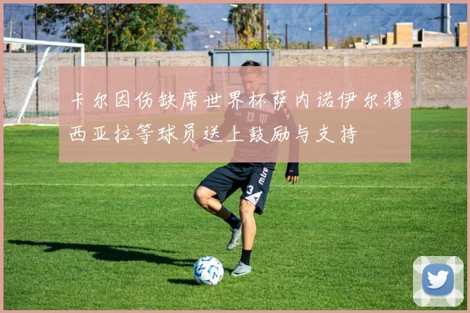卡尔因伤缺席世界杯萨内诺伊尔穆西亚拉等球员送上鼓励与支持